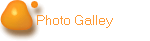 Photo Galley