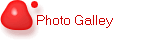 Photo Galley